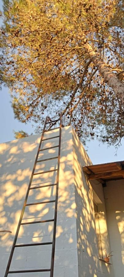 La Bodega De Villa Bella Espartinas Luaran gambar